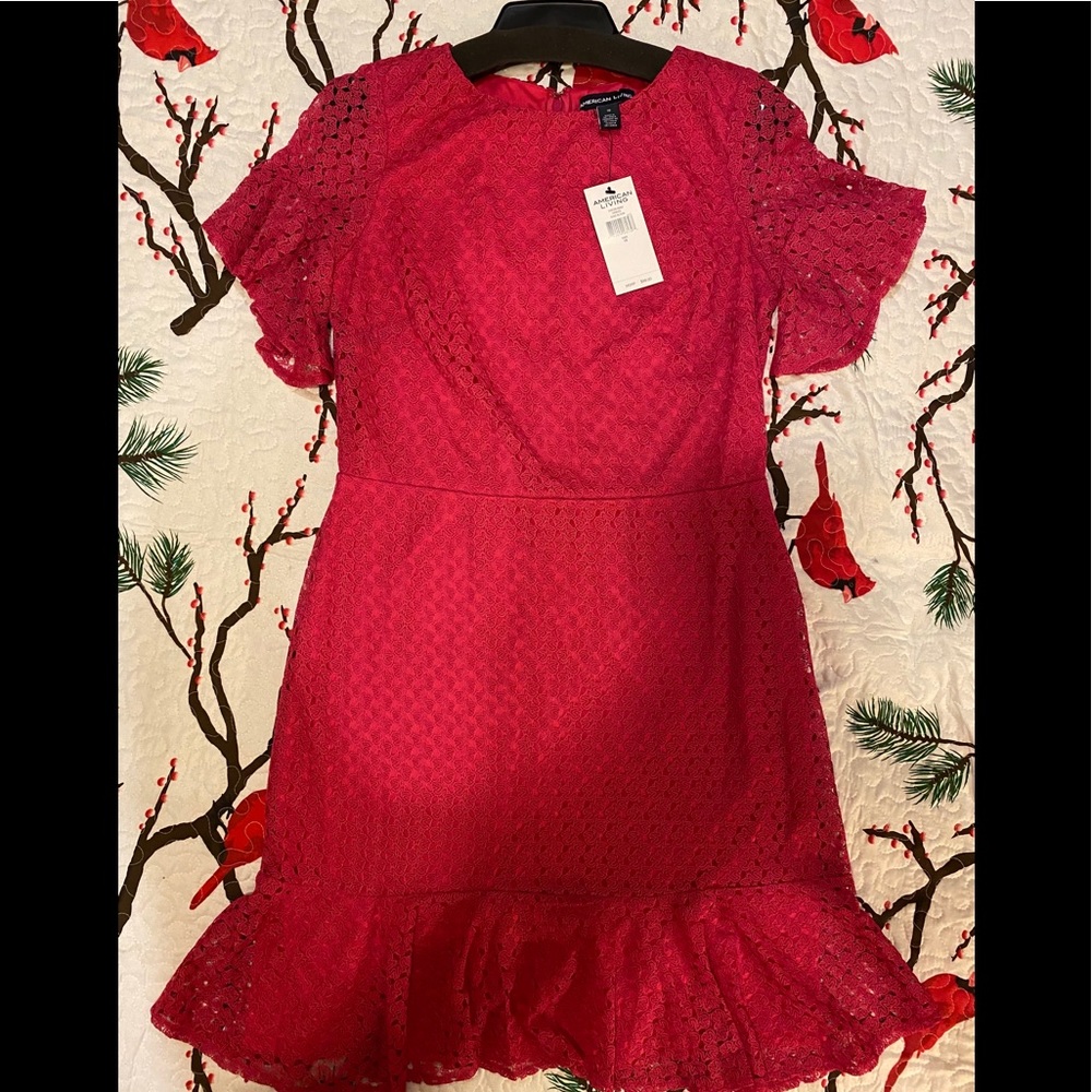 🌺Pink Lace Dress - American Living - Sz 8 & 10
